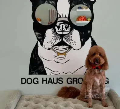 DogHaus Grooming & Boutique - Glendale, CA, USA - $ undefined