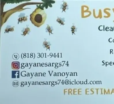 Busy Bees Cleaning Service - Los Angeles - $ undefined