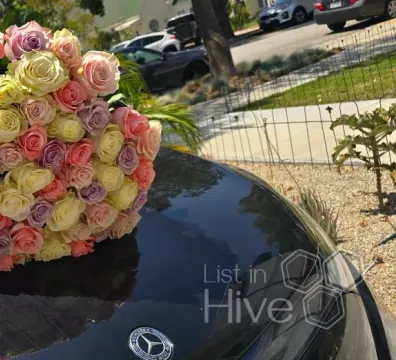Talking Flowers - Glendale, CA, USA - $ undefined