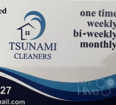 Tsunami Cleaning Services - Burbank, CA, USA - $ undefined