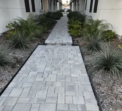 Beautiful yard - Van Nuys, CA 91406, USA - $ undefined